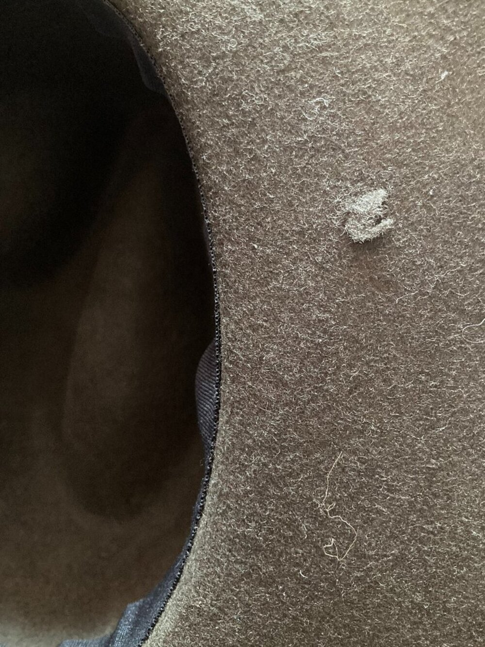 Fedora - Picture 2 of 2